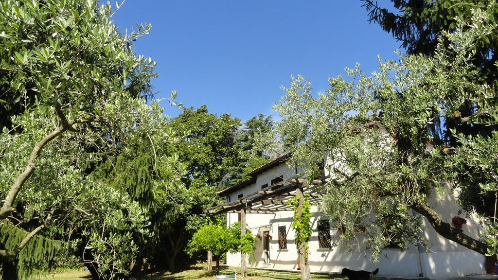Bed and Breakfast Piccola Volpe Веллетрі Екстер'єр фото
