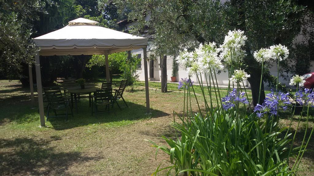 Bed and Breakfast Piccola Volpe Веллетрі Екстер'єр фото